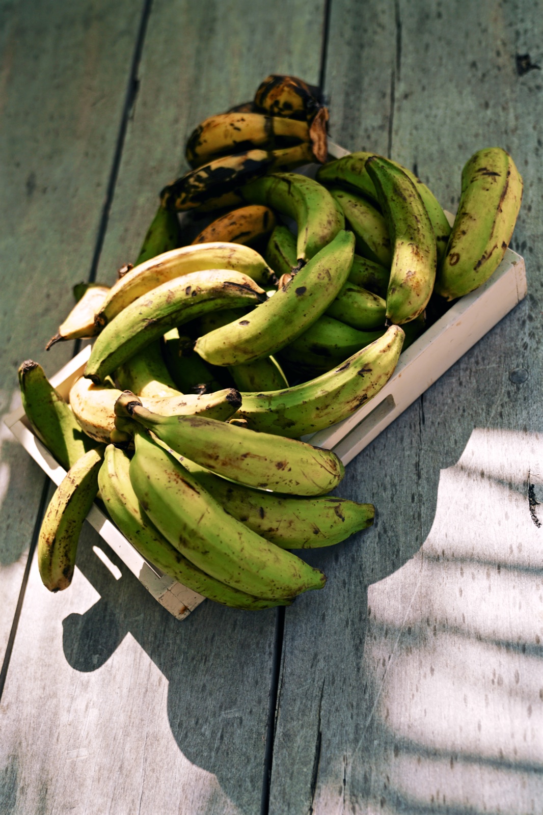 Plantains