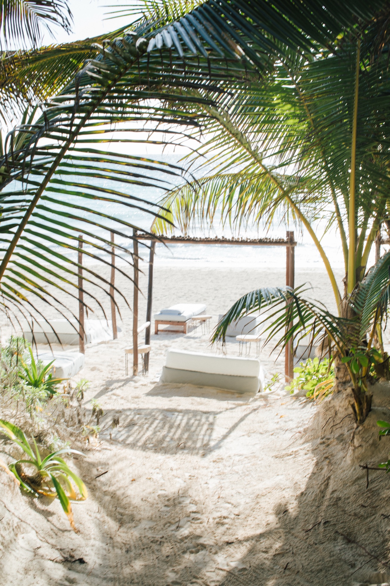 The sand path to the beach, a daybed under the palms